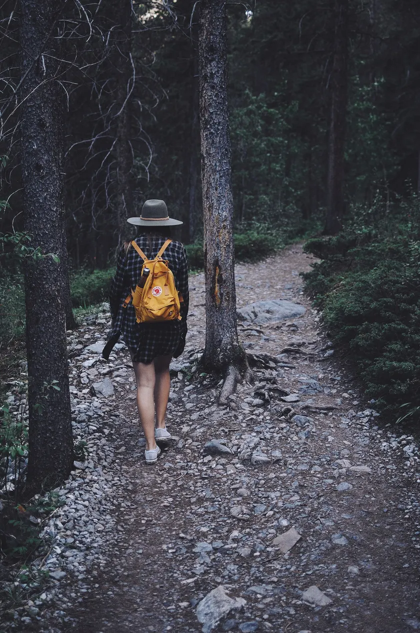 A person with a backpack walking away along a rocky trail through green forest