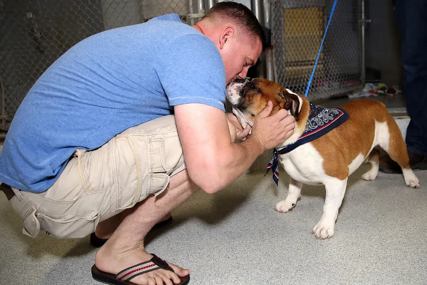 A Marine in camouflage kneeling beside a tan dog on a leash at an adoption event