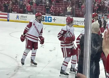 Ice hockey players celebrating on the ice in front of a crowd