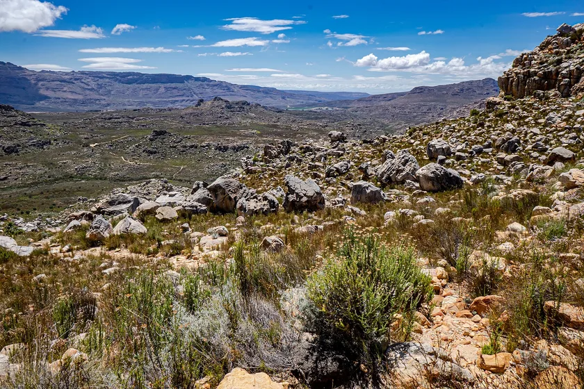 Sandstone slopes and fynbos shrubs in the Cederberg mountains under a bright sky