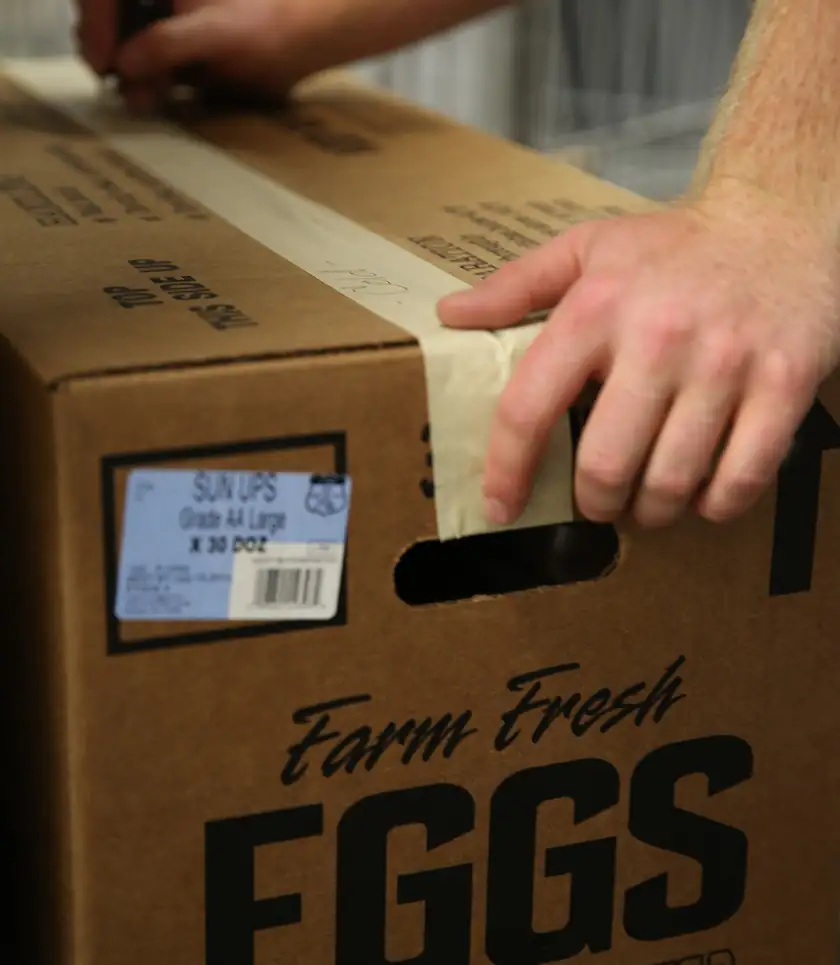Hands sealing a cardboard box of donated food