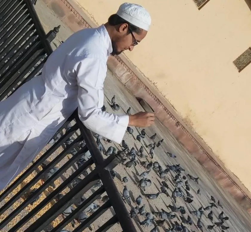 A person sitting on pavement while pigeons gather around a small pile of food