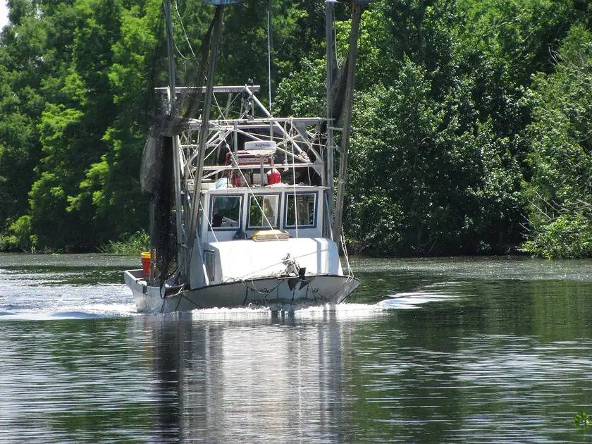 A shrimp boat docked among other fishing boats