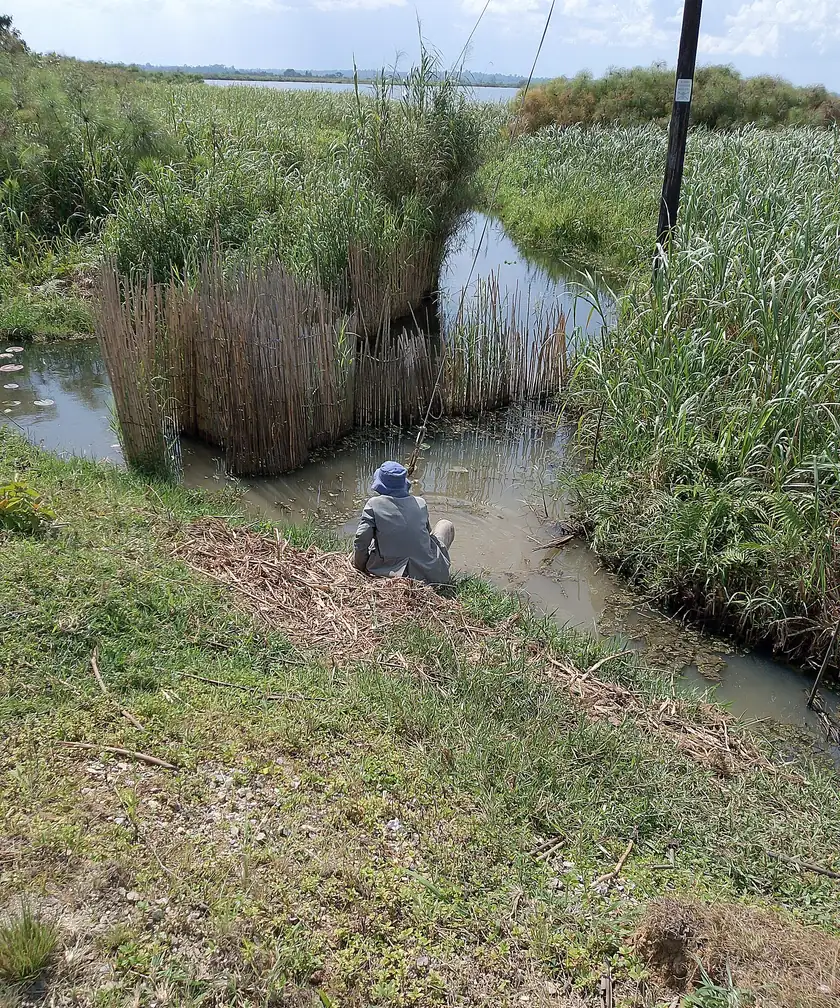 A man standing in shallow water and casting a fishing line