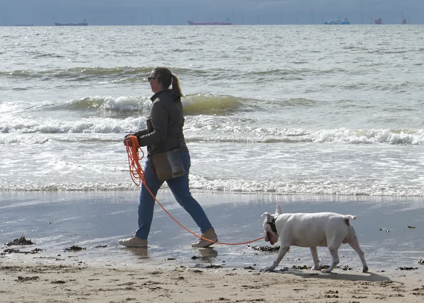 A woman walking a dog on a leash along a beach