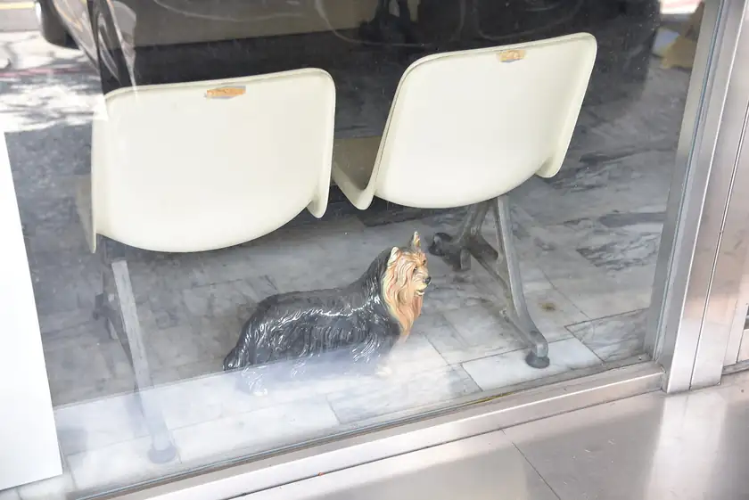 A painted statue of a sitting dog outside a building