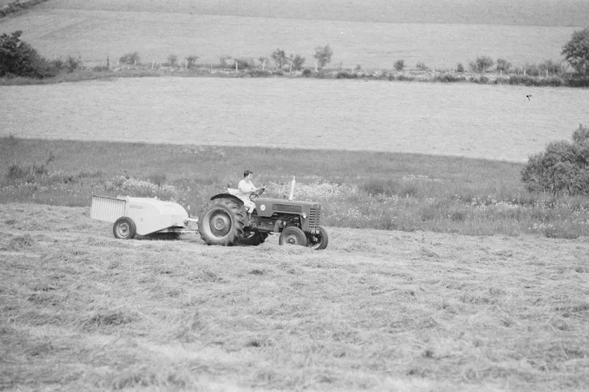 A person driving a tractor across a cut field, towing a pale piece of farm equipment