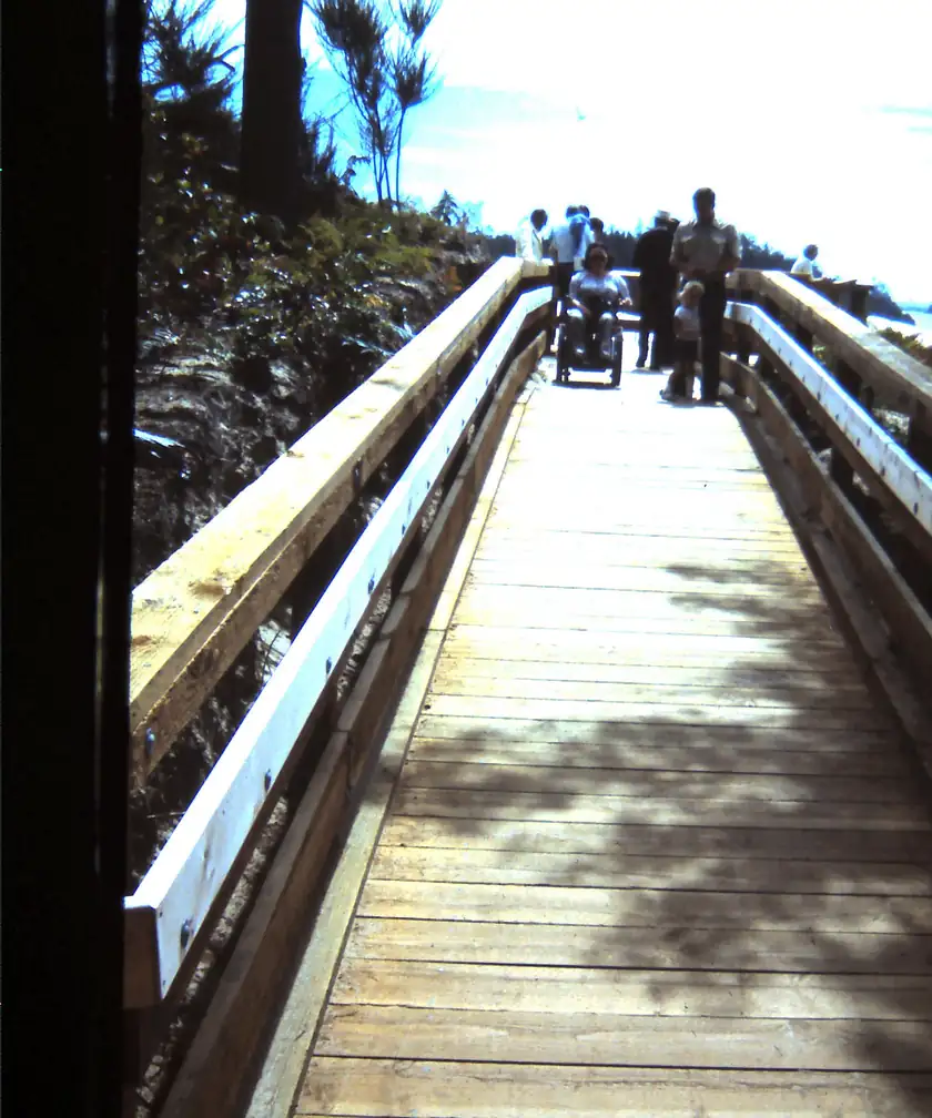 A person using a wheelchair on a wooden boardwalk through green woods