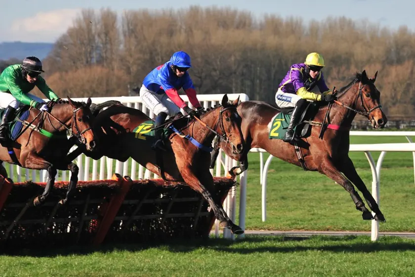 A brown horse and rider jumping a brush hurdle on a grass course