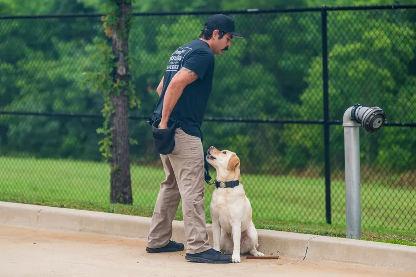 A firefighter in a black shirt stands beside a seated yellow Labrador and looks down at the dog