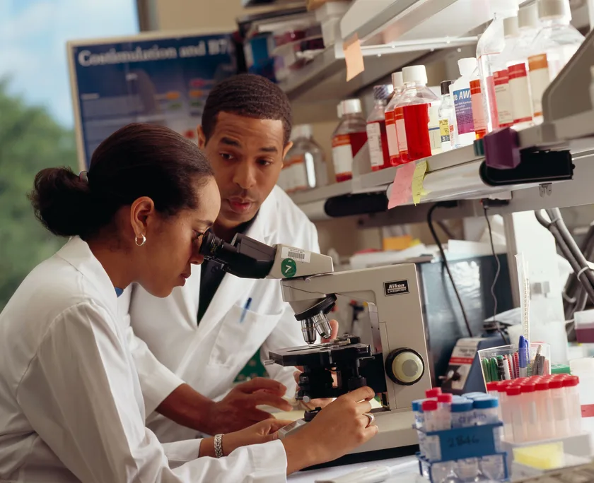 A researcher looking through a microscope while a colleague watches