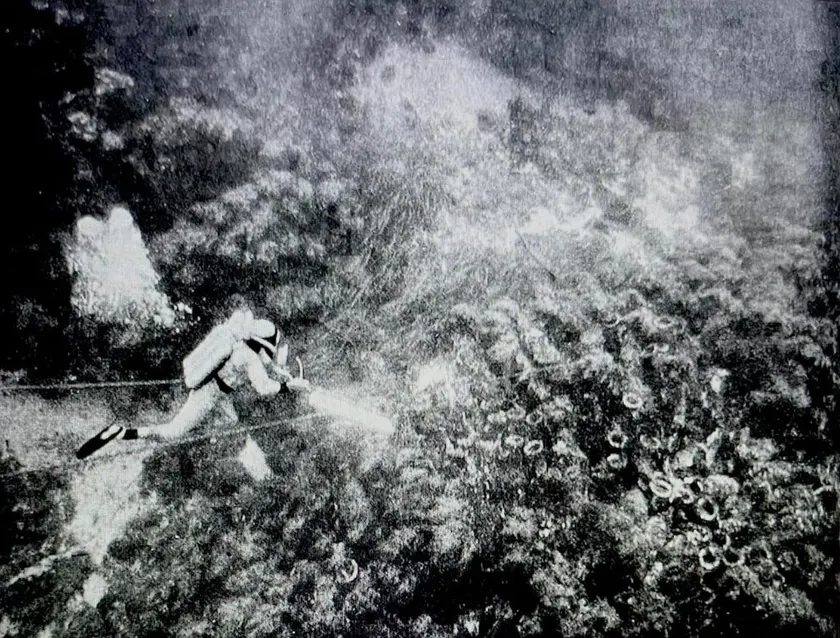 A scuba diver photographing a field of amphorae on a sunken wreck