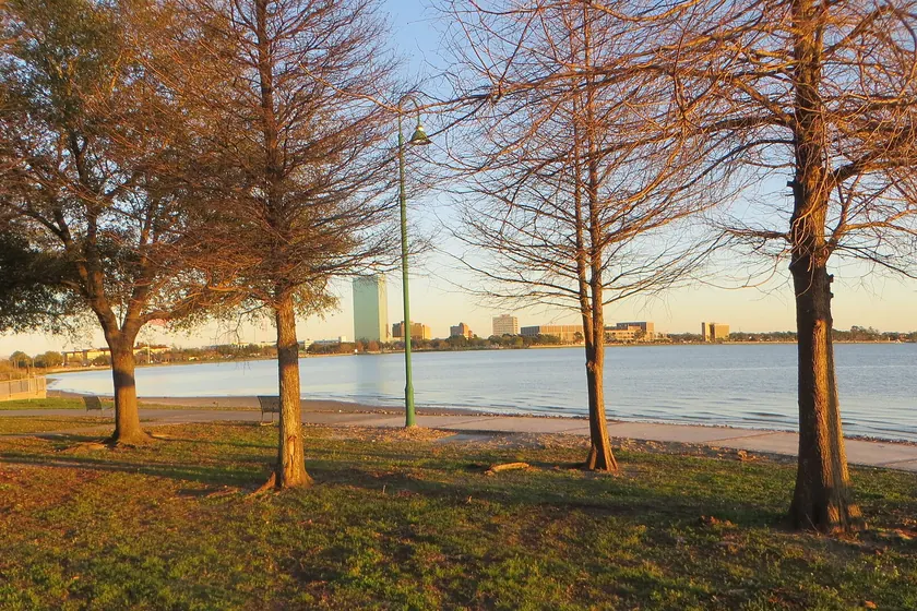 A lakeside lawn with cypress trees and a low city skyline across the water