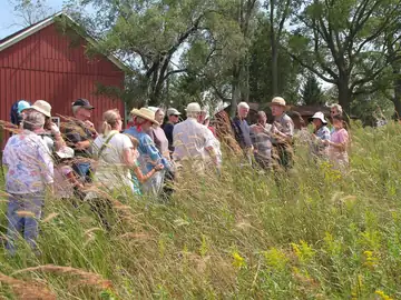 A park ranger walking away through tall prairie grass