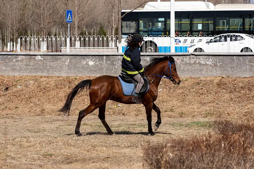 A rider in a black jacket and helmet on a brown horse moving across a dry field