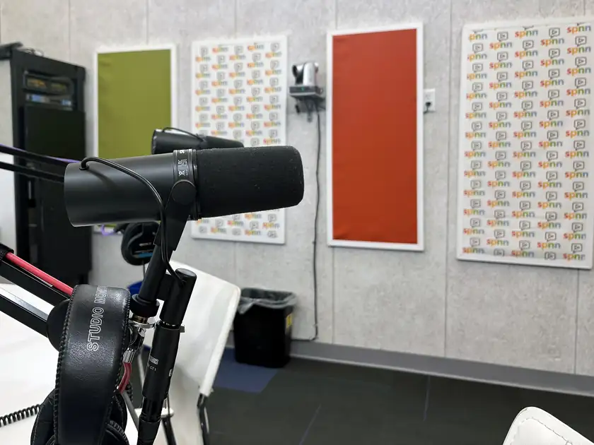 A microphone on a stand in a small podcast studio