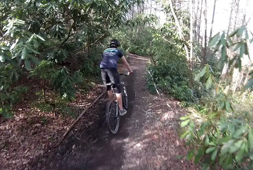 A mountain biker riding a wooded dirt trail