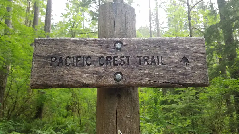 A wooden Pacific Crest Trail sign on a forested hillside