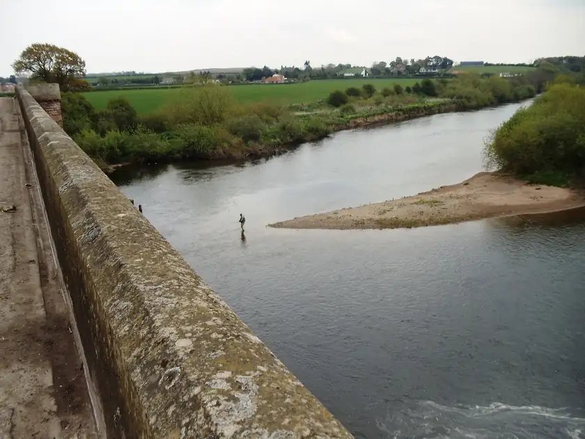 An adult fly fisherman standing in a river with a rod