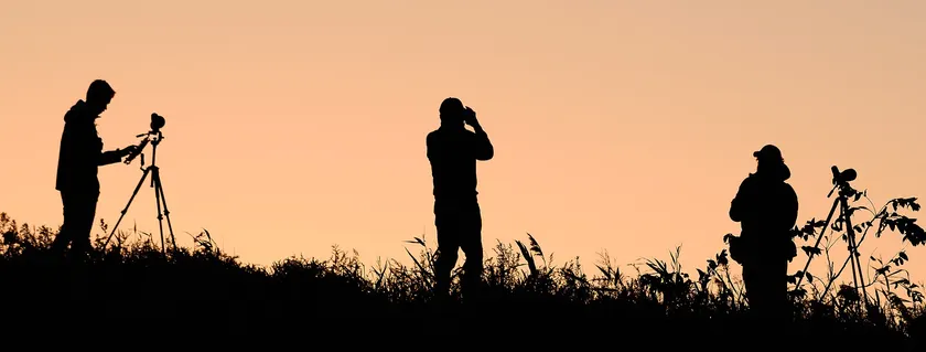 Three people in silhouette on a ridge at dusk, using binoculars and spotting scopes