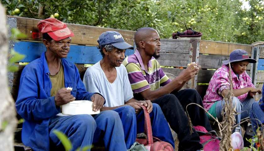 Four adults sitting on wooden crates in an apple orchard during a break