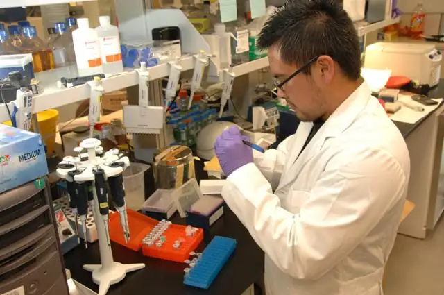 A scientist in a white coat pipetting samples at a laboratory bench