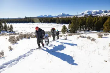 Search-and-rescue volunteers pulling a wheeled litter across a snowy field