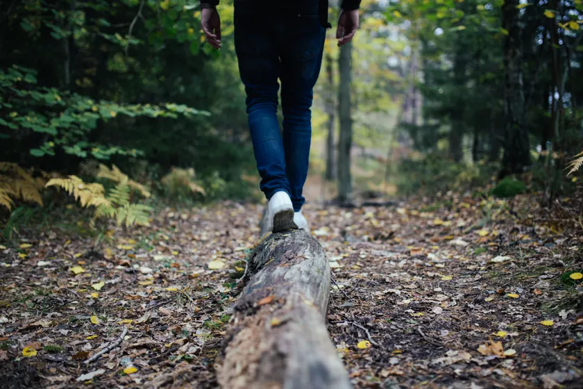A hiker seen from behind walking along a fallen log in a forest