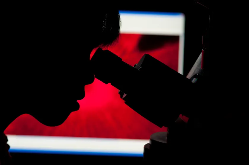 A person in silhouette looking through a microscope