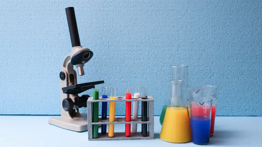 Clear laboratory beakers, flasks, and bottles of liquid arranged on a white surface