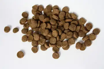 A pile of brown dry dog-food kibble