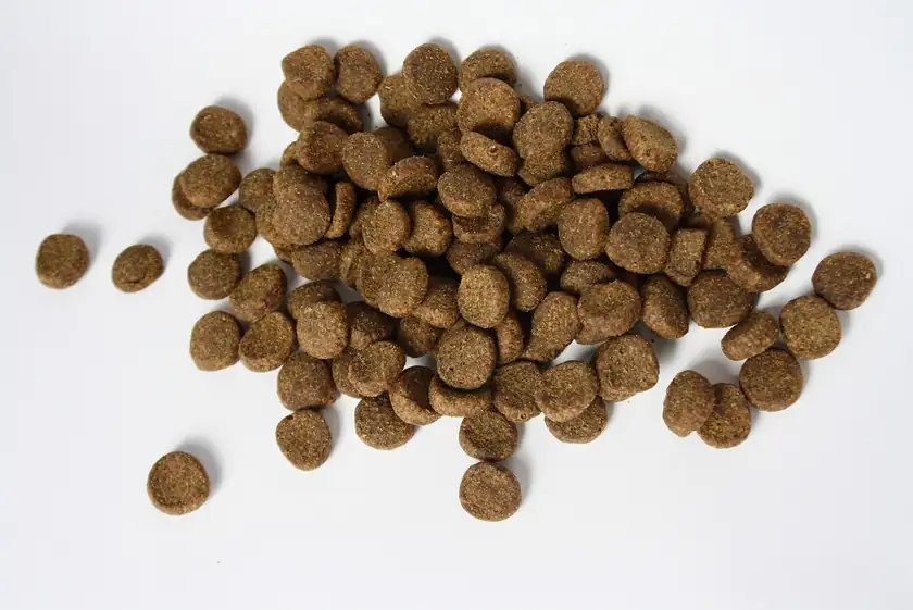 A pile of brown dry dog-food kibble