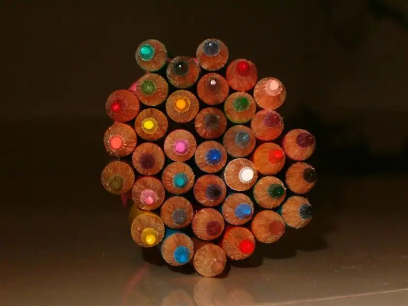 A row of colored pencils standing upright, with no people