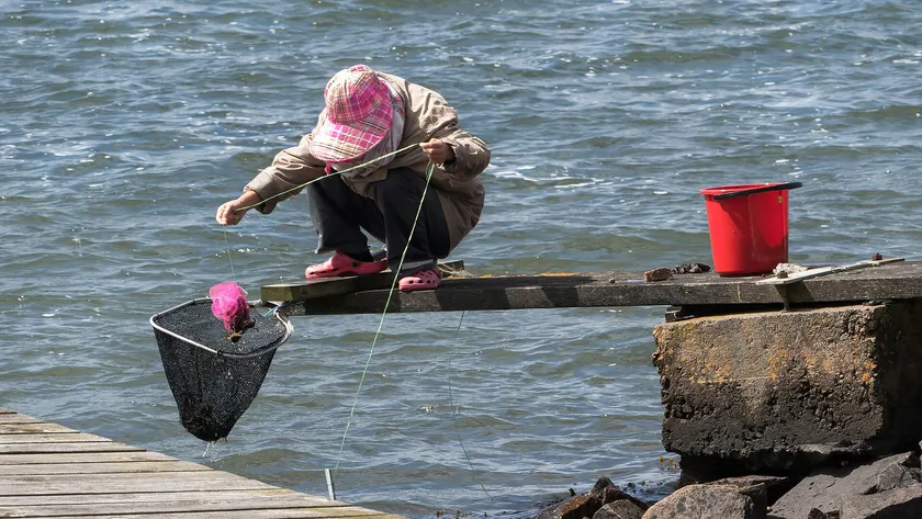 A woman on a rocky shore holding a small crab beside a bucket of crabs