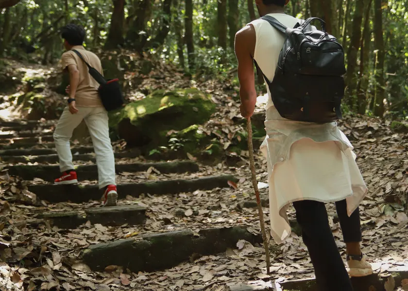 Two hikers walking away up a stone path in a forest