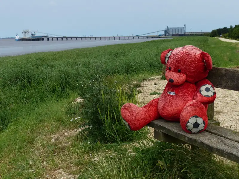 A red teddy bear sitting on a green chair, with no people
