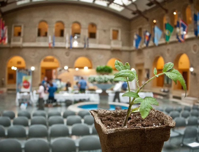A young seedling in a pot in the foreground, with people gathered around plant tables behind it