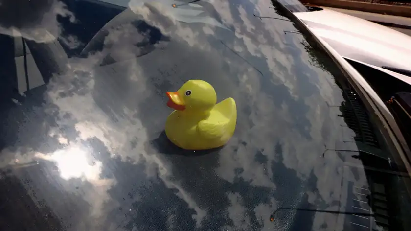 A giant yellow rubber duck floating on calm water