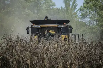 A farmer driving a combine through a field of ripe corn