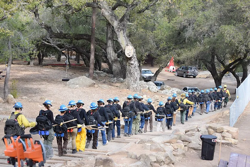 Women in wildland firefighter gear standing in brush during a training