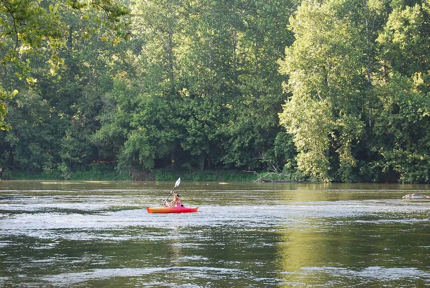 An adult kayaker paddling a blue kayak on a calm tree-lined river